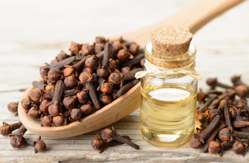 علاج التهاب اللثة بالأعشاب