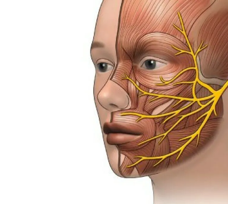 أعراض التهاب العصب
